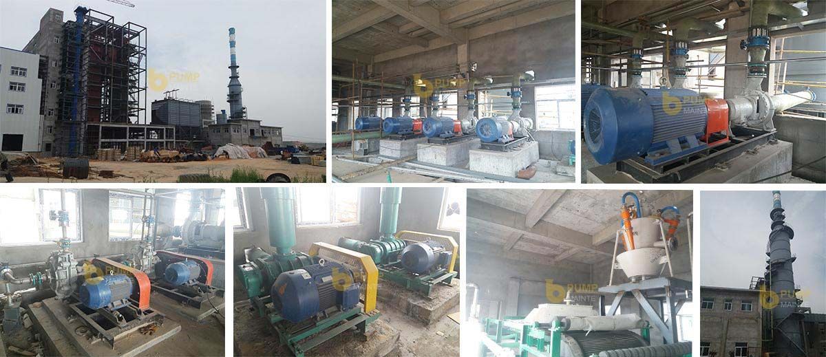TL series all metal desulfurization pump used for flue gas desulfurization in thermal power plant